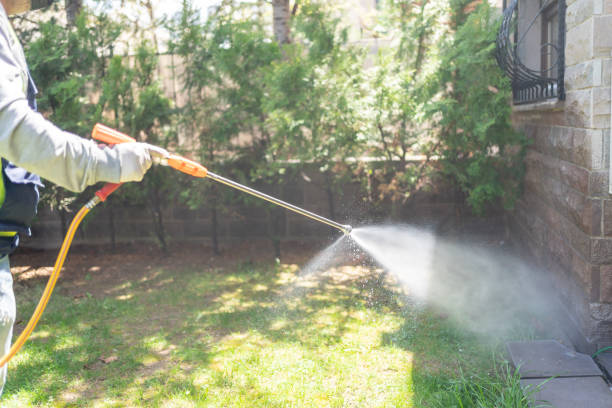 Best Commercial Pest Control  in Palmer Lake, CO